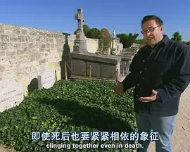 深度解析《文森特·凡·高全传》：在色彩与疯狂中，寻找天才的灵魂