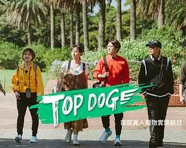 《TOP DOG》影评：警犬搭档极限救援，热血沸腾的动作喜剧，萌宠也能当英雄！