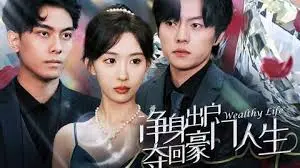 《净身出户后，夺回豪门人生》：看落魄千金如何逆袭，爽文剧情高能预警！