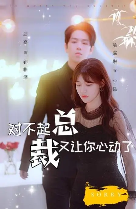 对不起总裁又让你心动了 海报