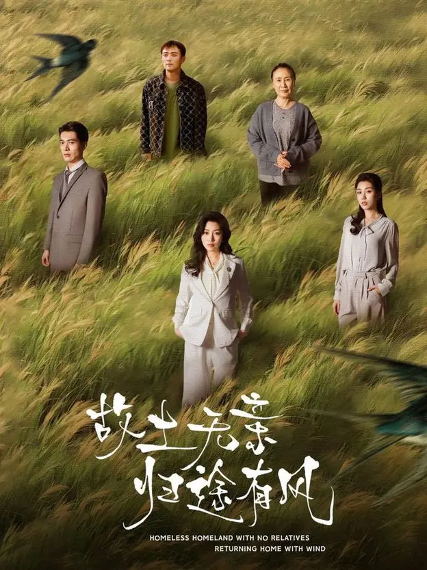 《故土无亲归途有风》：八零年代的乡愁，在四柱命理中寻找归宿，风雨飘摇的故土情深