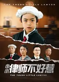 《律师不好惹》：草根逆袭的法律奇案，看小人物如何用智慧击溃邪恶！